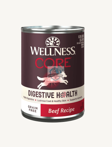 Wellness Core Digestive Health Pate Beef Wet Dog Food