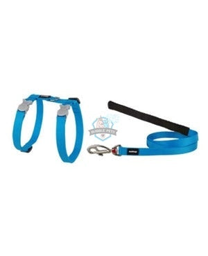 Red Dingo Harness and Lead Combo Classic in Turquoise for Cat