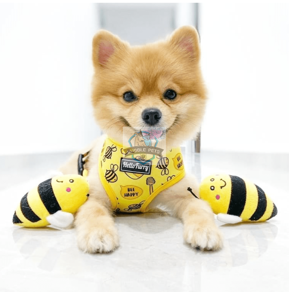 Hello Furry Reversible Yellow Bee Happy Dog Harness