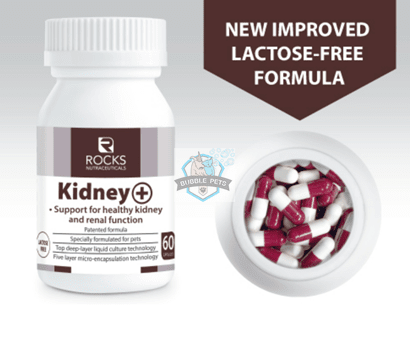Rocks Nutraceuticals Kidney + Probiotic Supplement