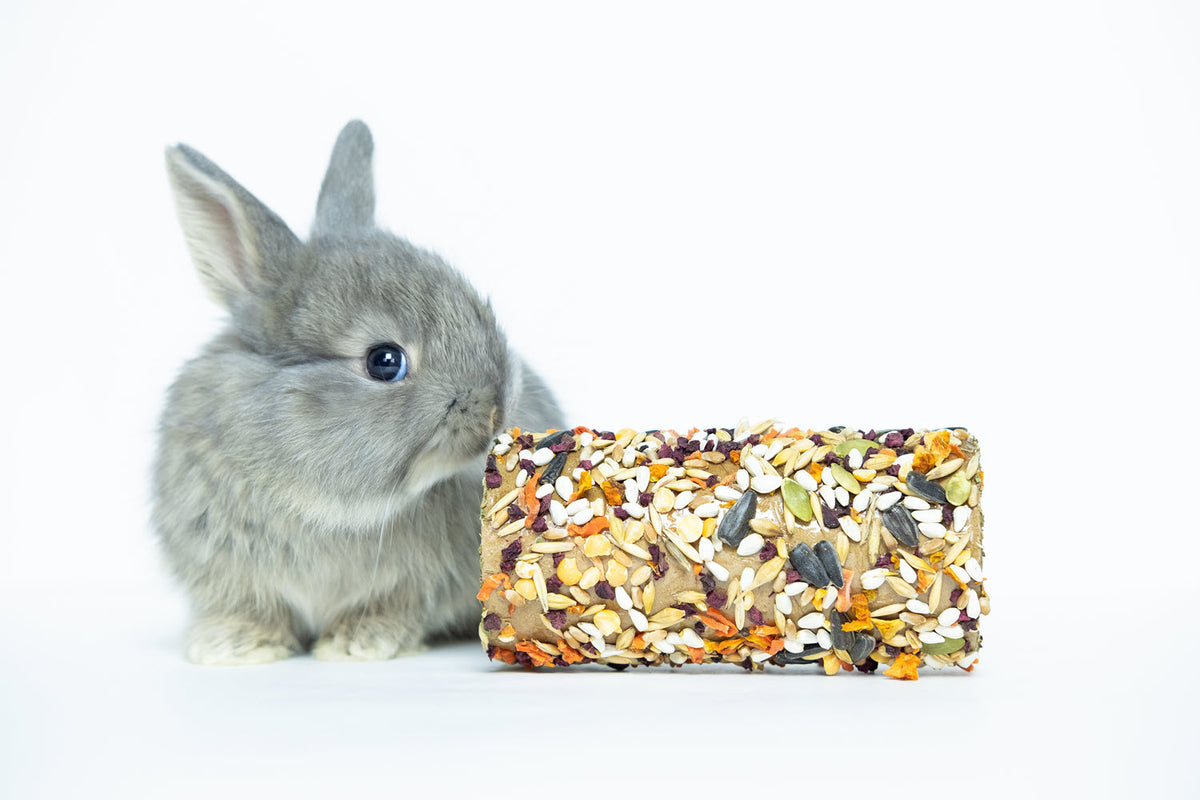 Rabbit Food — Singapore's Pet Proficient Online Pet Store I Online Pet ...