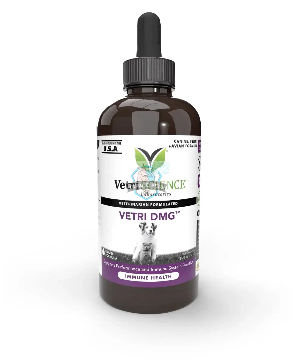 VetriScience® - Vetri DMG Immune Support for Dogs & Cats (Liquid Formula - 2 sizes)