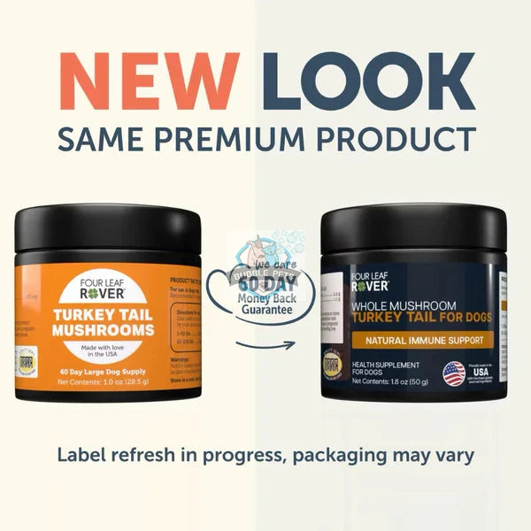Four Leaf Rover Turkey Tail Mushroom Extract