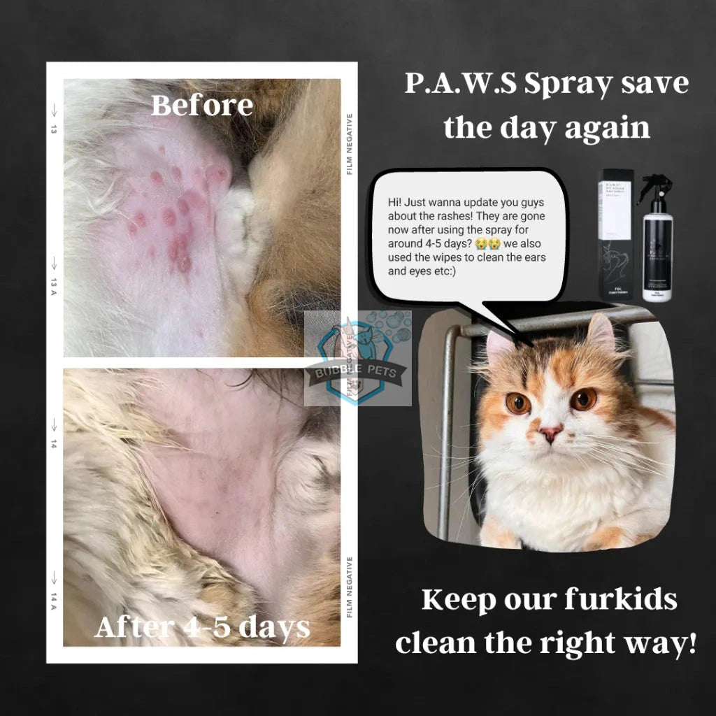 For Furry Friends Pet's Activated Water Sanitizer (P.A.W.S) Spray
