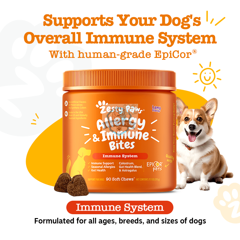 Zesty Paws Allergy & Immune Bites Supplement for Dogs - Lamb (250ct)