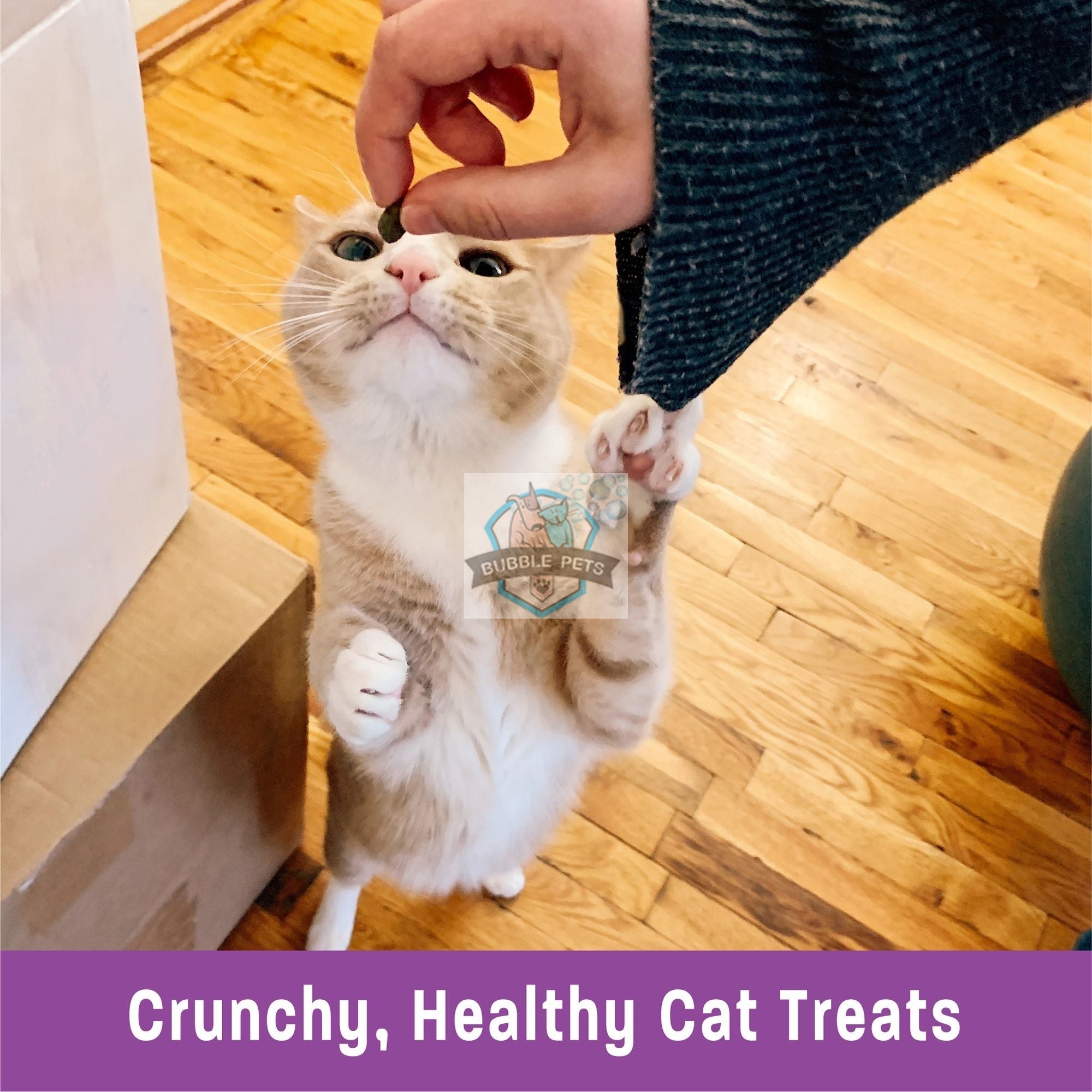 Wellness Kittles Chicken and Cranberries Cat Treats