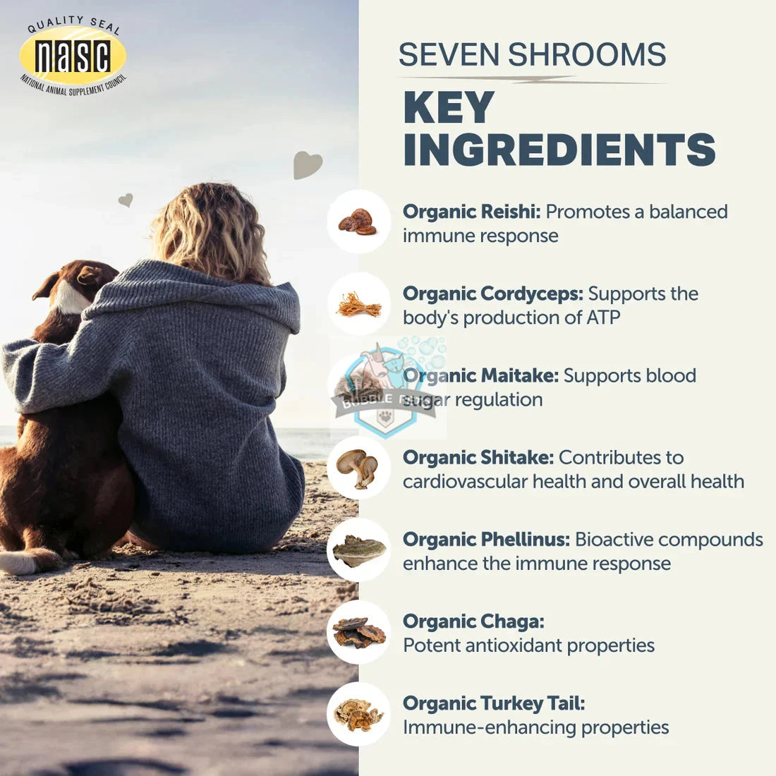 Four Leaf Rover Seven ‘Shrooms - Enhance Immune, Liver & Kidney Function