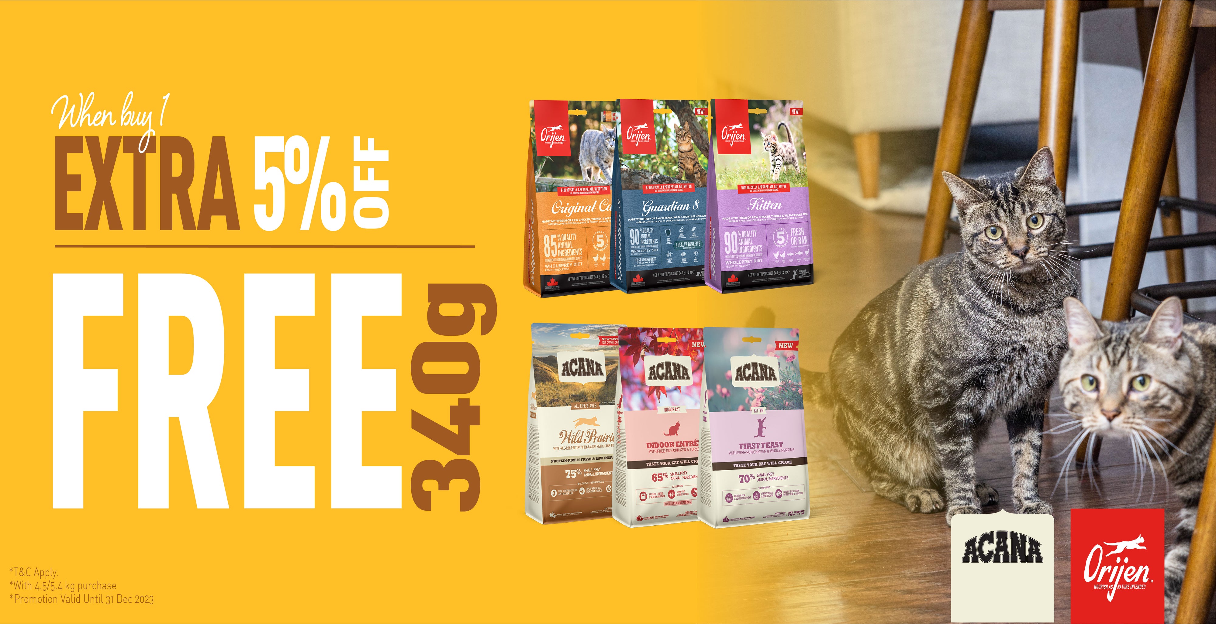 Bubble Pets Singapore Online Pet Store I Free Delivery — Singapore's