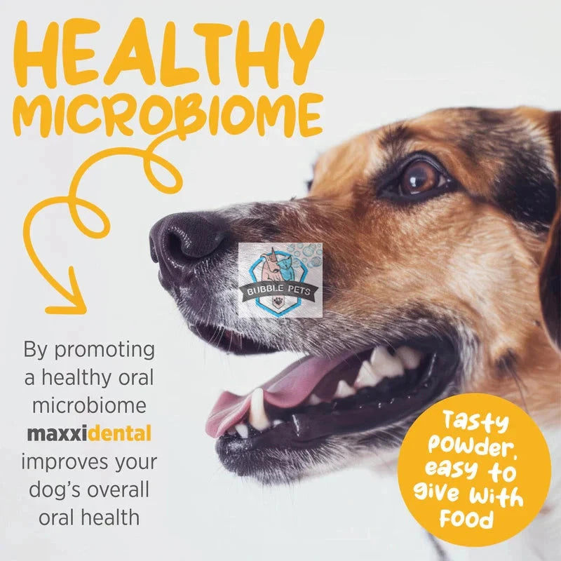 PROMOTION: Maxxipaws MaxxiDental Supplement for Dogs