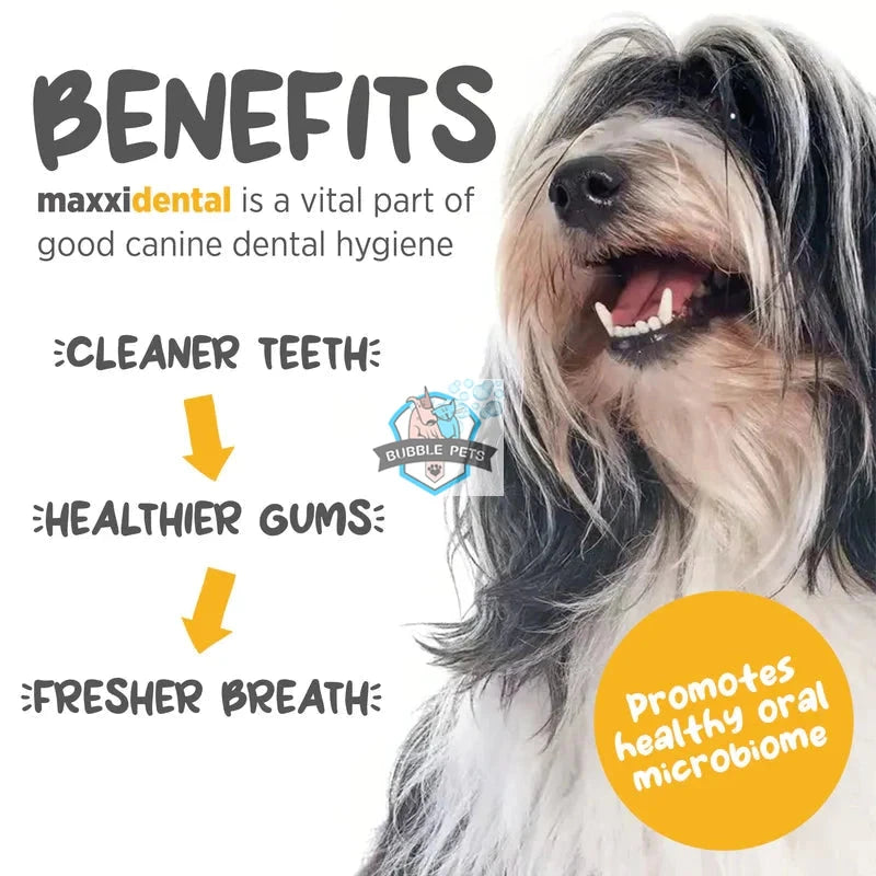 PROMOTION: Maxxipaws MaxxiDental Supplement for Dogs