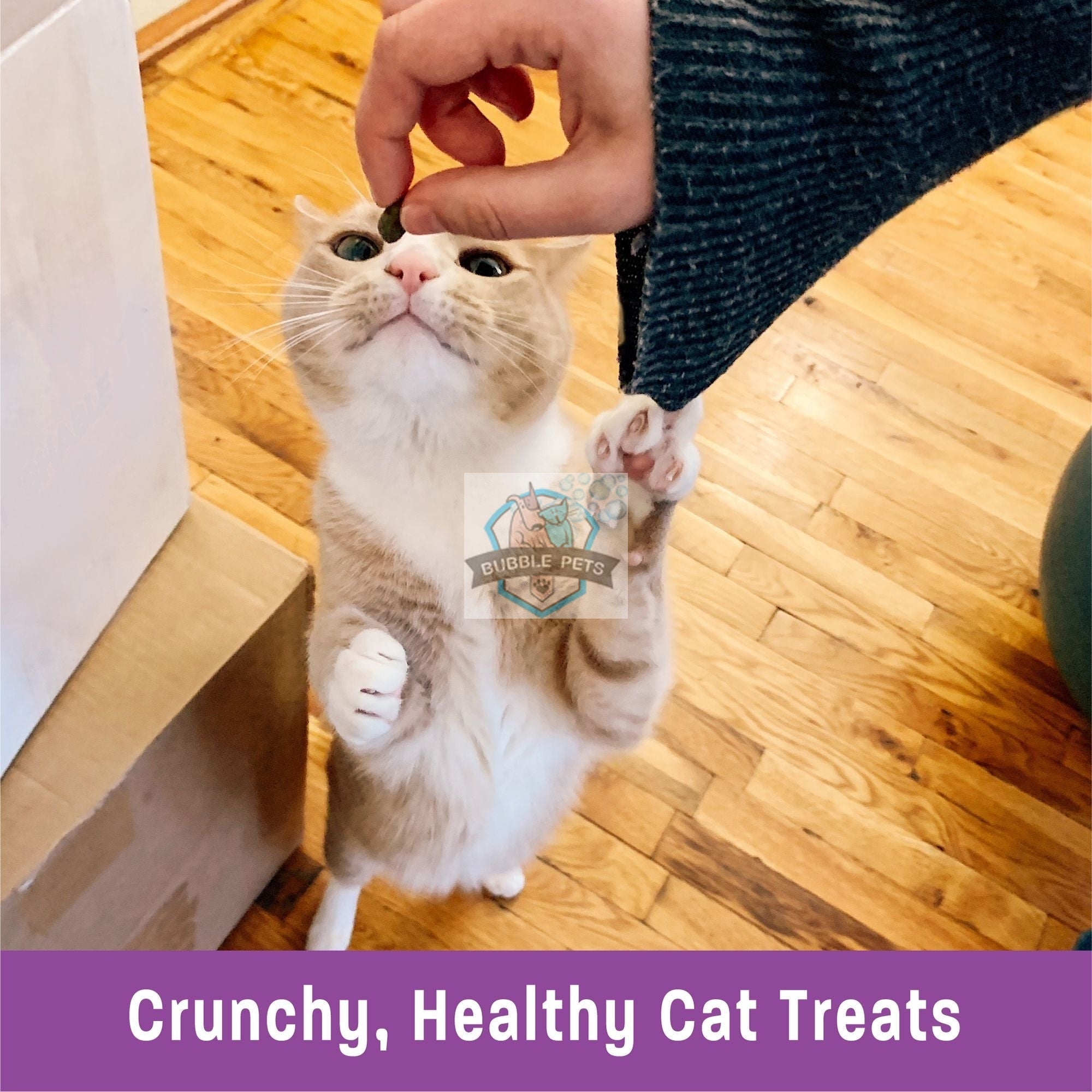 Wellness Kittles Salmon and Cranberries Cat Treats