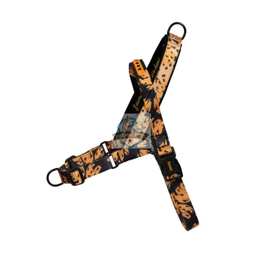 Zee Dog Farm Rio Bossa Banana Softer Walk Harness