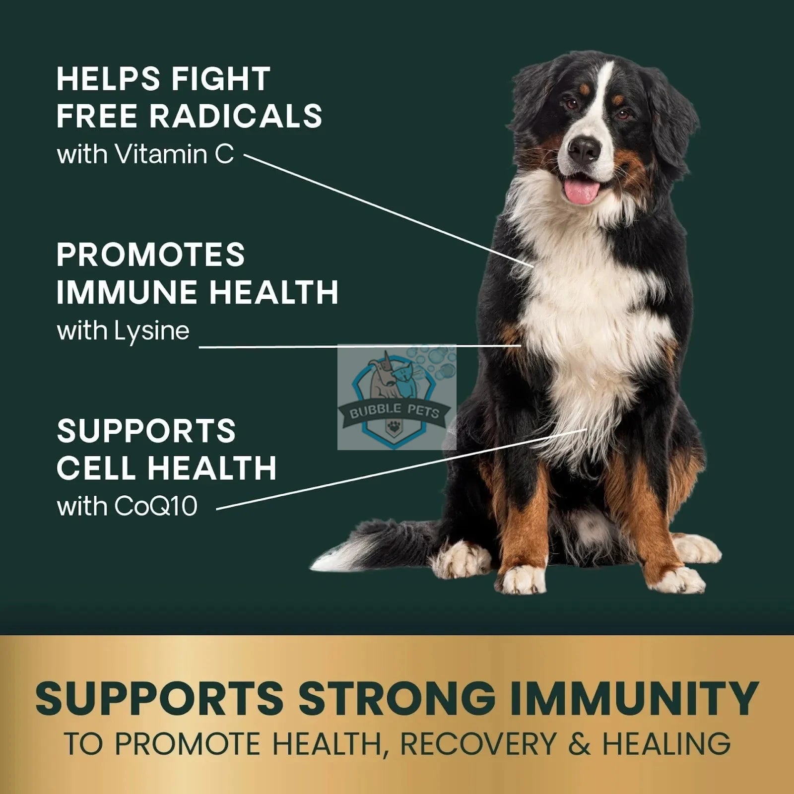 VetriScience® - Immune Health Support for Large  Dogs (120 capsules)