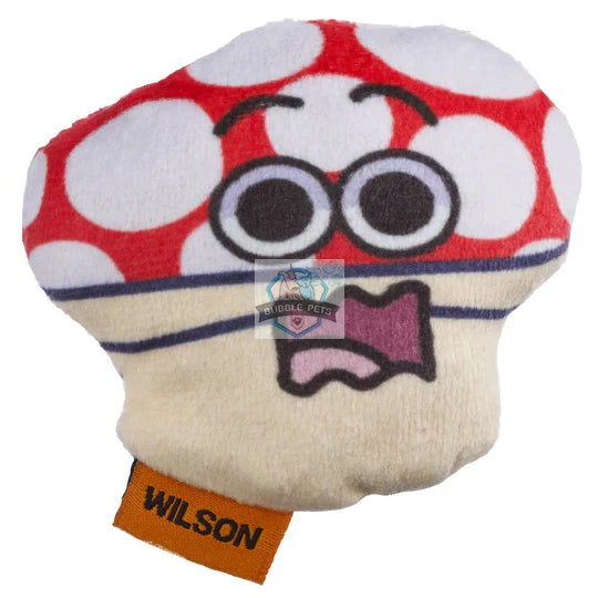 CDSG Cat Prey Toys with Catnip