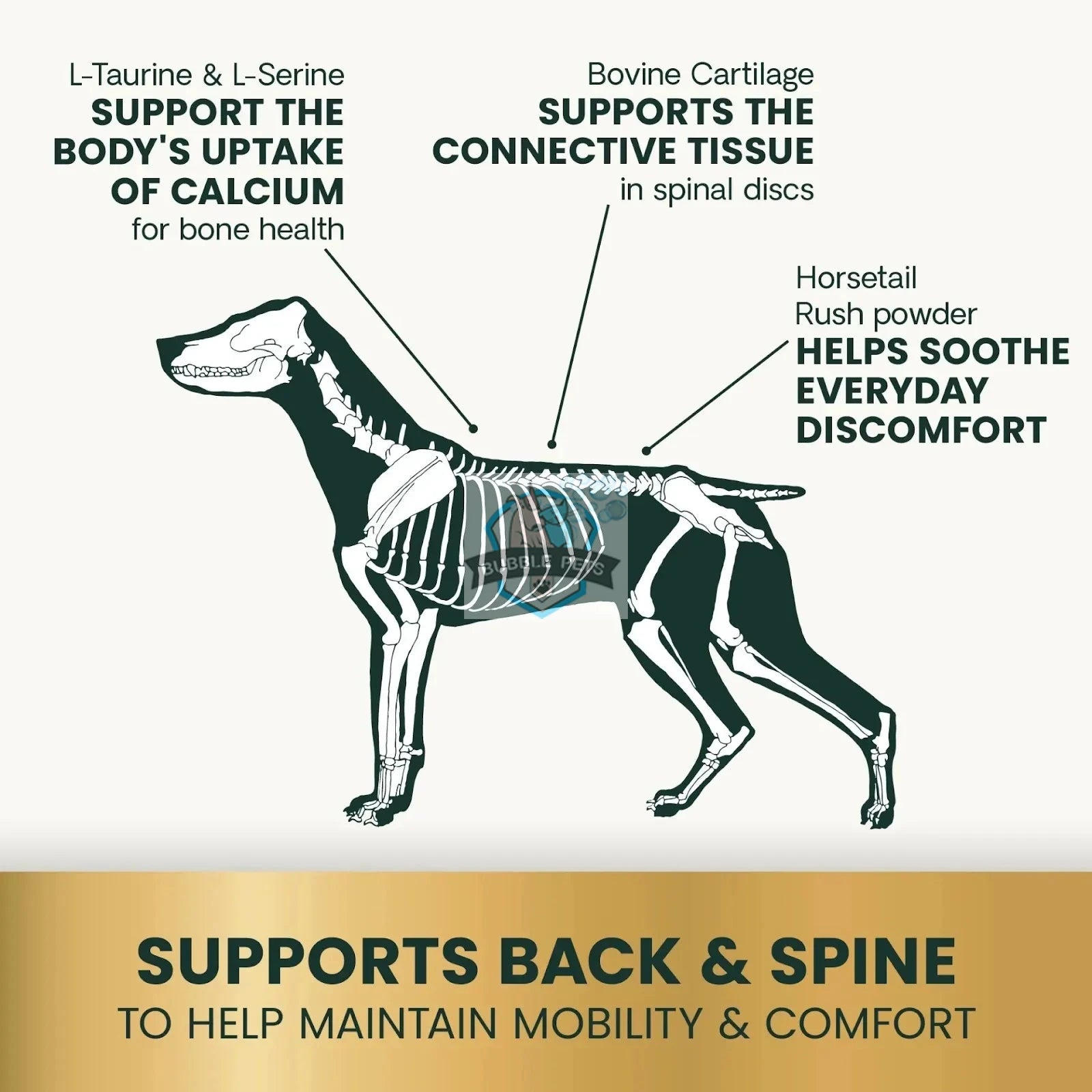 VetriScience® -Mobility Healthy Spine and Disc Support Supplement for Dogs (180 capsules)