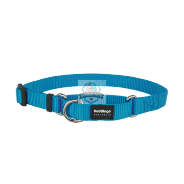 Red Dingo Martingale Half Check Collar in Turquoise for Dogs