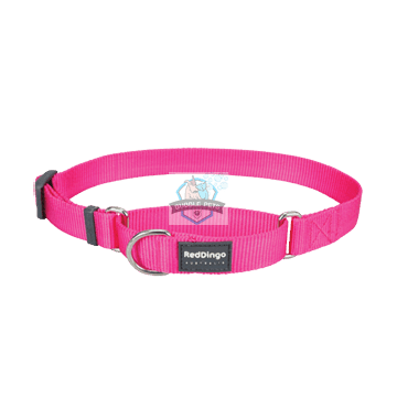 Red Dingo Classic Collar in Hot Pink for Dogs