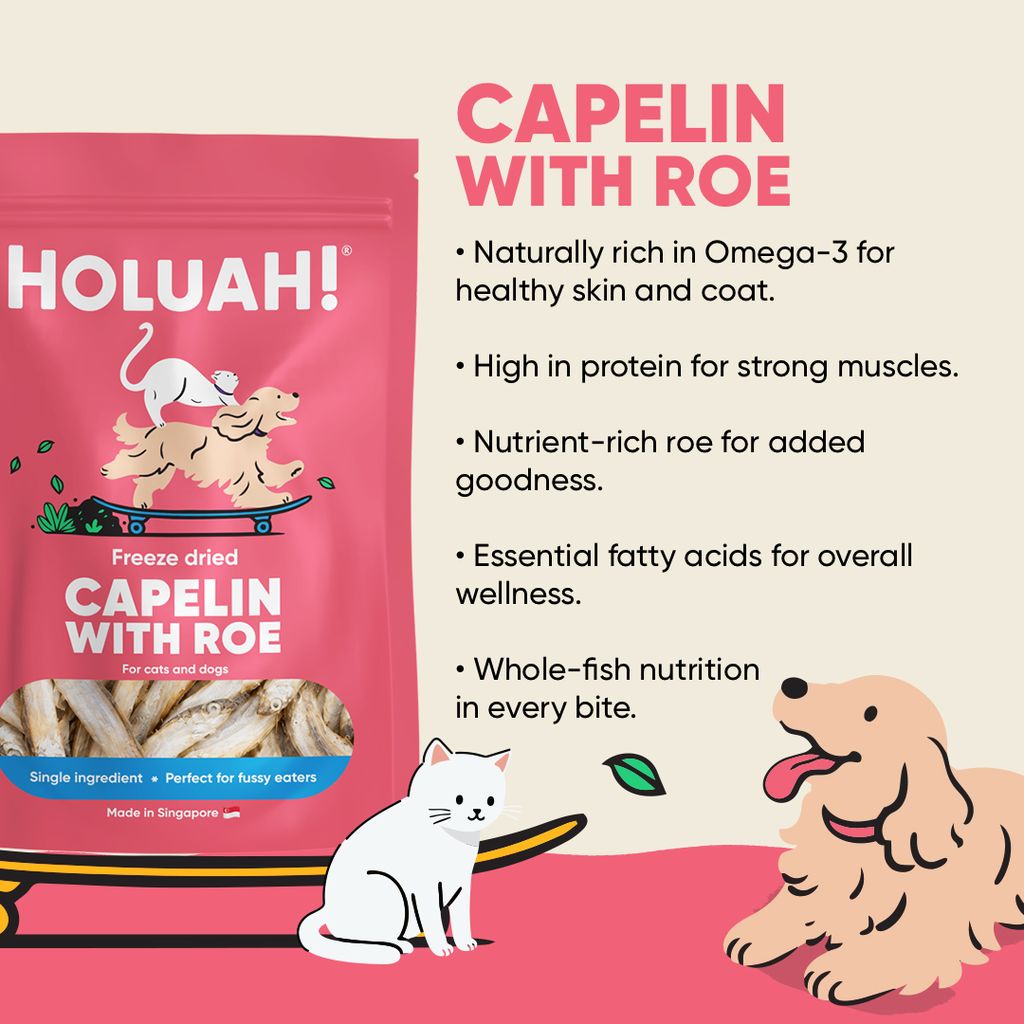 NEW: Holuah! Freeze Dried  Capelin with Roe Treats for Cats & Dogs