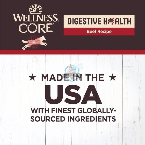 Wellness Core Digestive Health Pate Beef Wet Dog Food