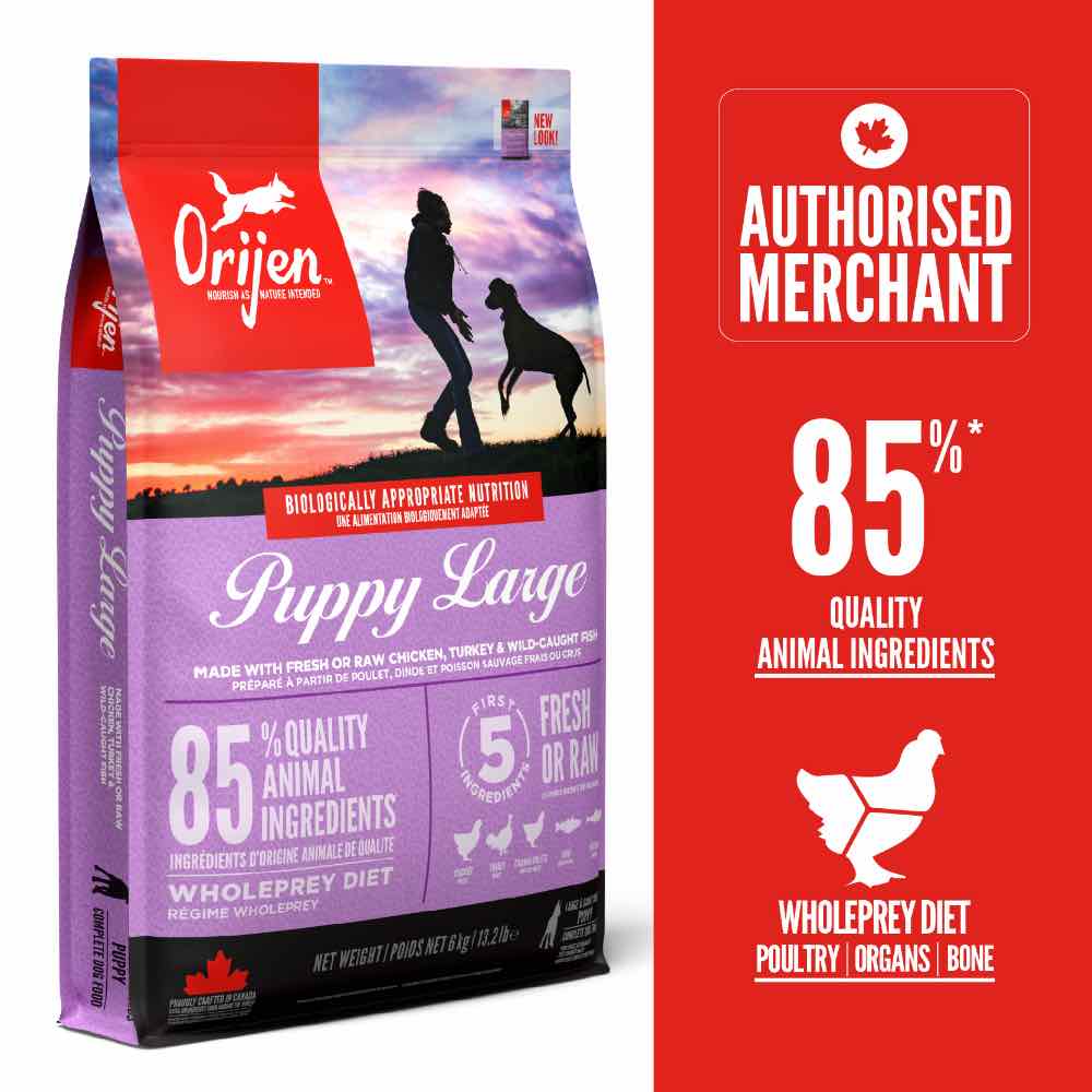 PROMO Extra 10% OFF Orijen Puppy Large Breed Dog Food