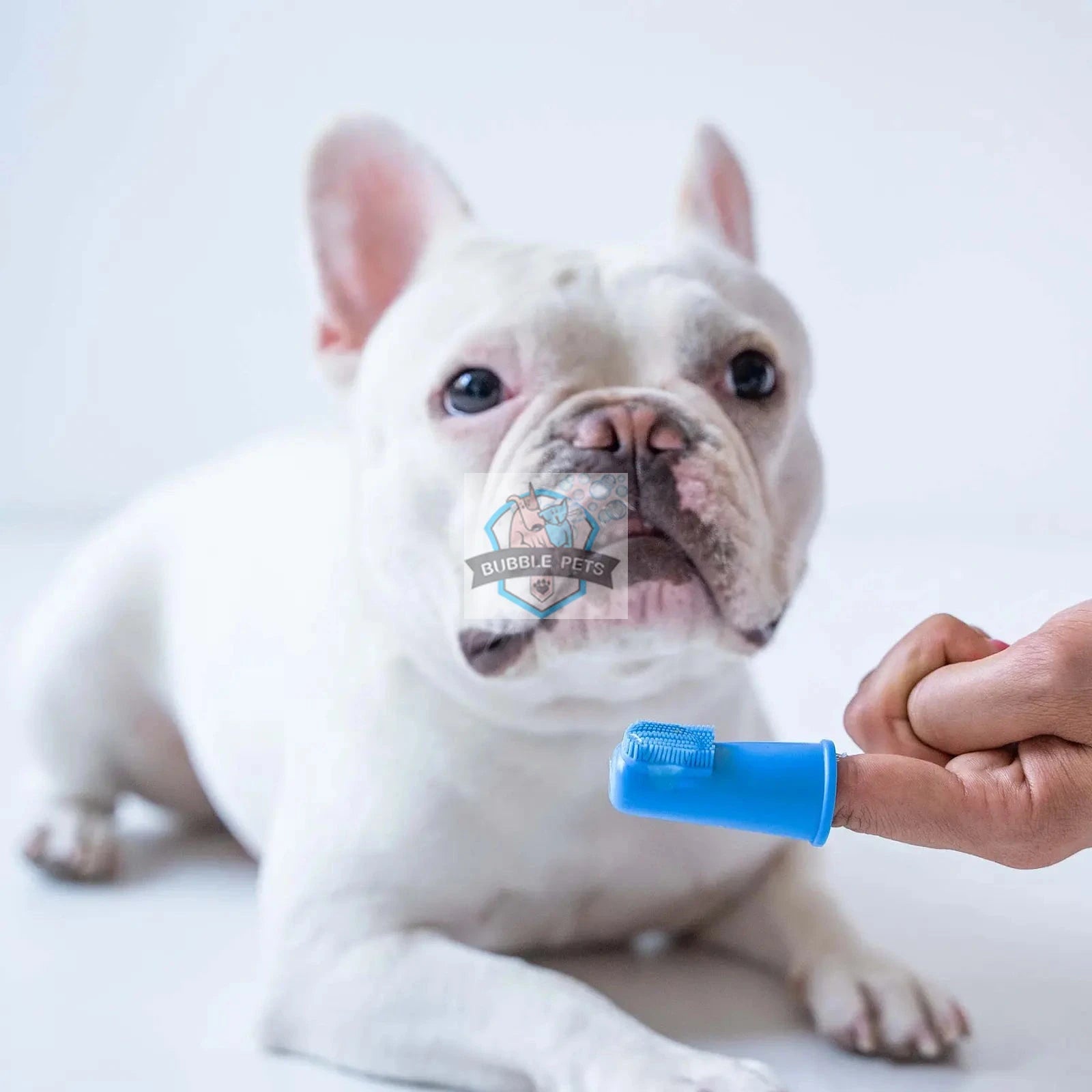 Oxyfresh Pet Finger Toothbrush for Cats and Dogs