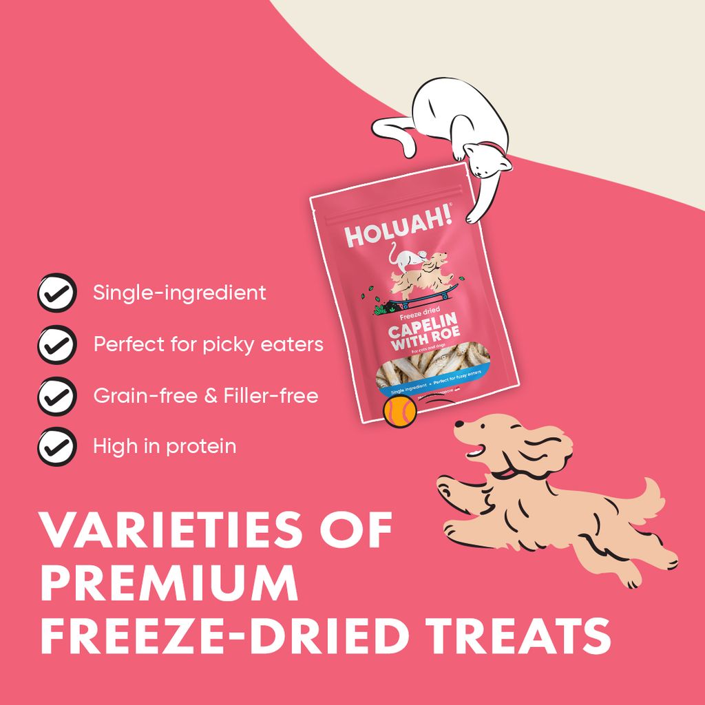 NEW: Holuah! Freeze Dried  Capelin with Roe Treats for Cats & Dogs