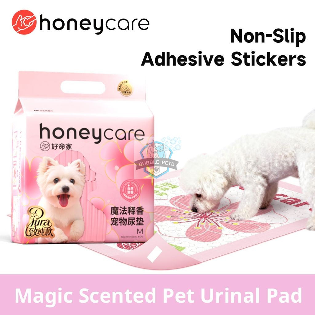 Honeycare Petrichor Pads