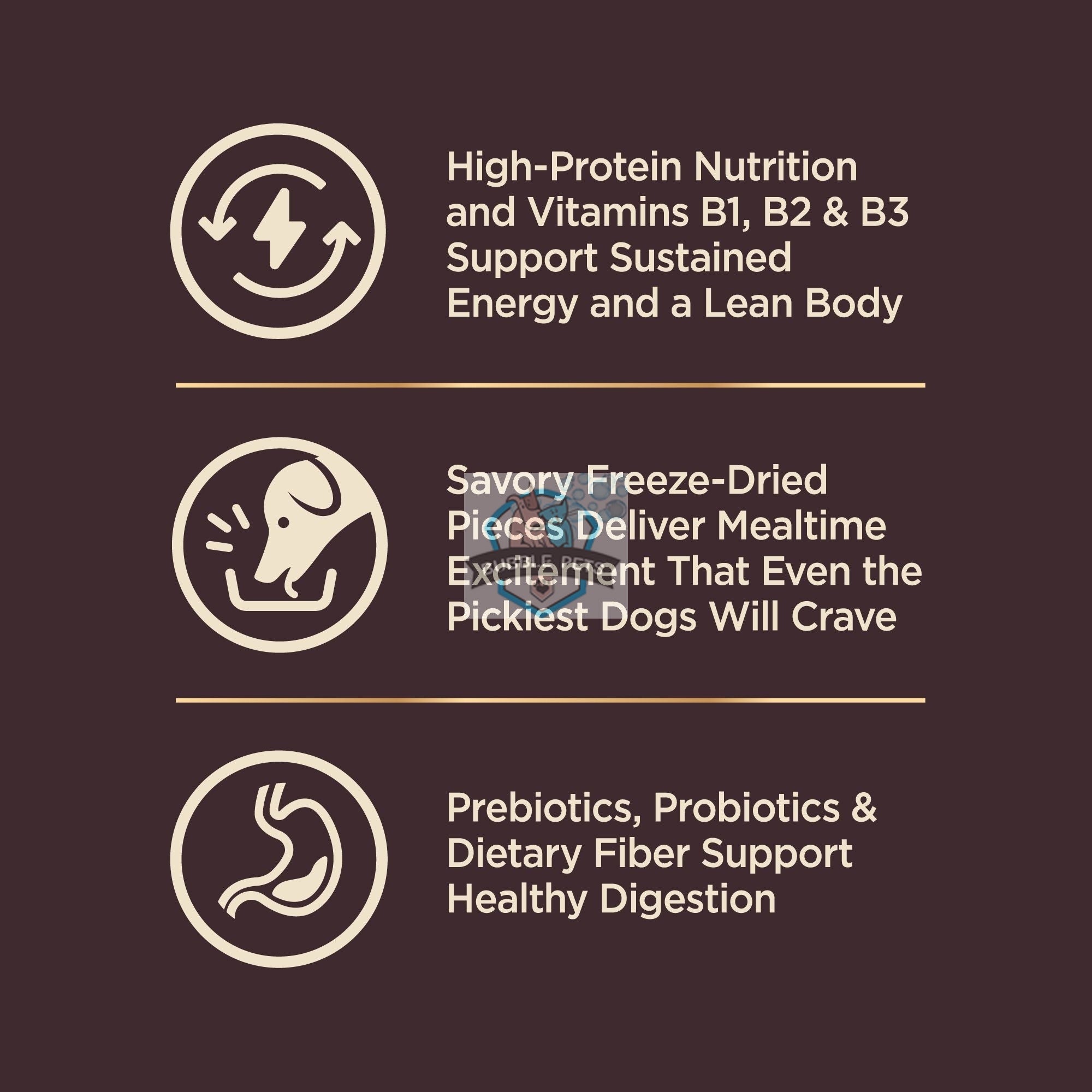 Wellness CORE+ Wild Game Dry Dog Food