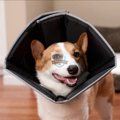 Comfy Cone Collars for Dogs Cats Pets