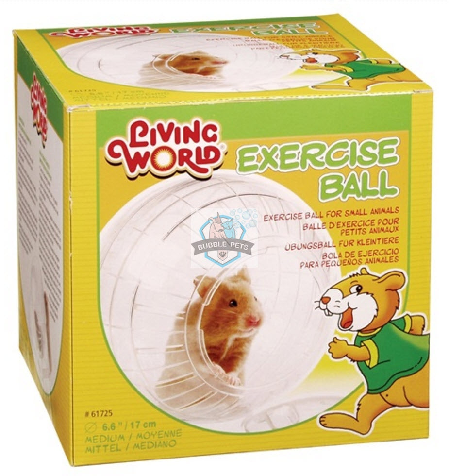 Living World Exercise Ball for Small Pets