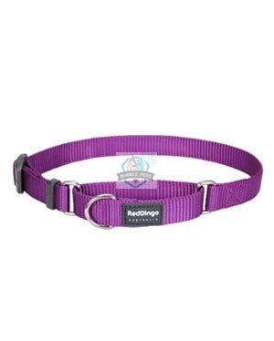 Red Dingo Martingale Half Check Collar in Purple for Dogs