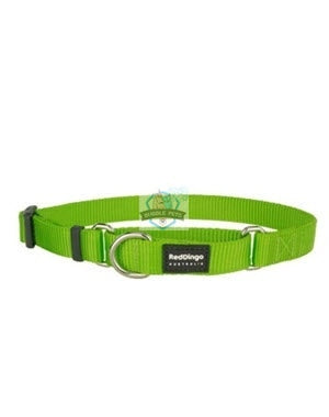 Red Dingo Martingale Half Check Collar in Lime Green for Dogs