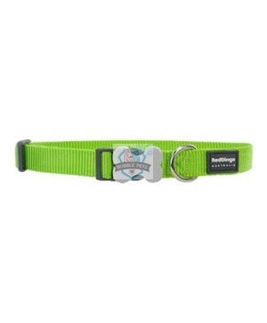Red Dingo Classic Collar in Lime Green for Dogs