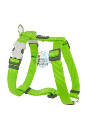 Red Dingo Classic Harness in Lime Green for Dogs