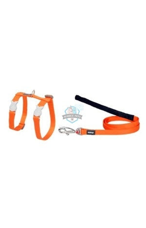 Red Dingo Harness and Lead Combo Classic in Orange for Cat