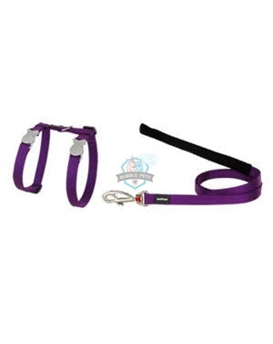 Red Dingo Harness and Lead Combo Classic in Purple for Cat
