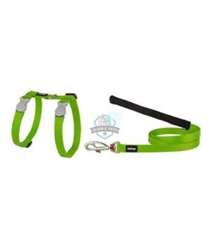 Red Dingo Harness and Lead Combo Classic in Lime Green for Cat