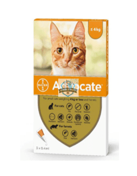Animal Advocate For Small Cats Small Cats Advocate Flea Treatment