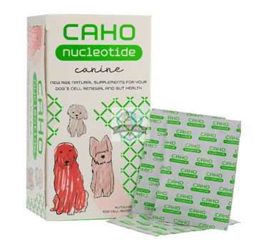 CAHO Nucleotide Cell Renewal & Gut Health Supplements For Dogs