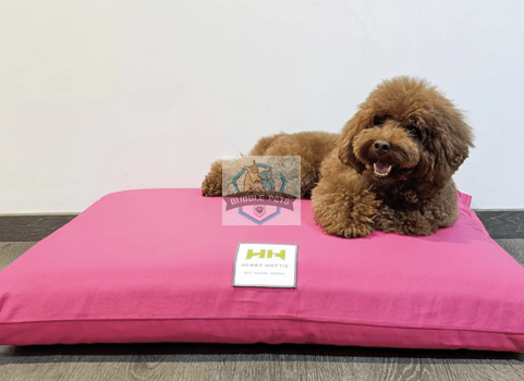 Henry Hottie Orthopedic Pet Bed (Pink)