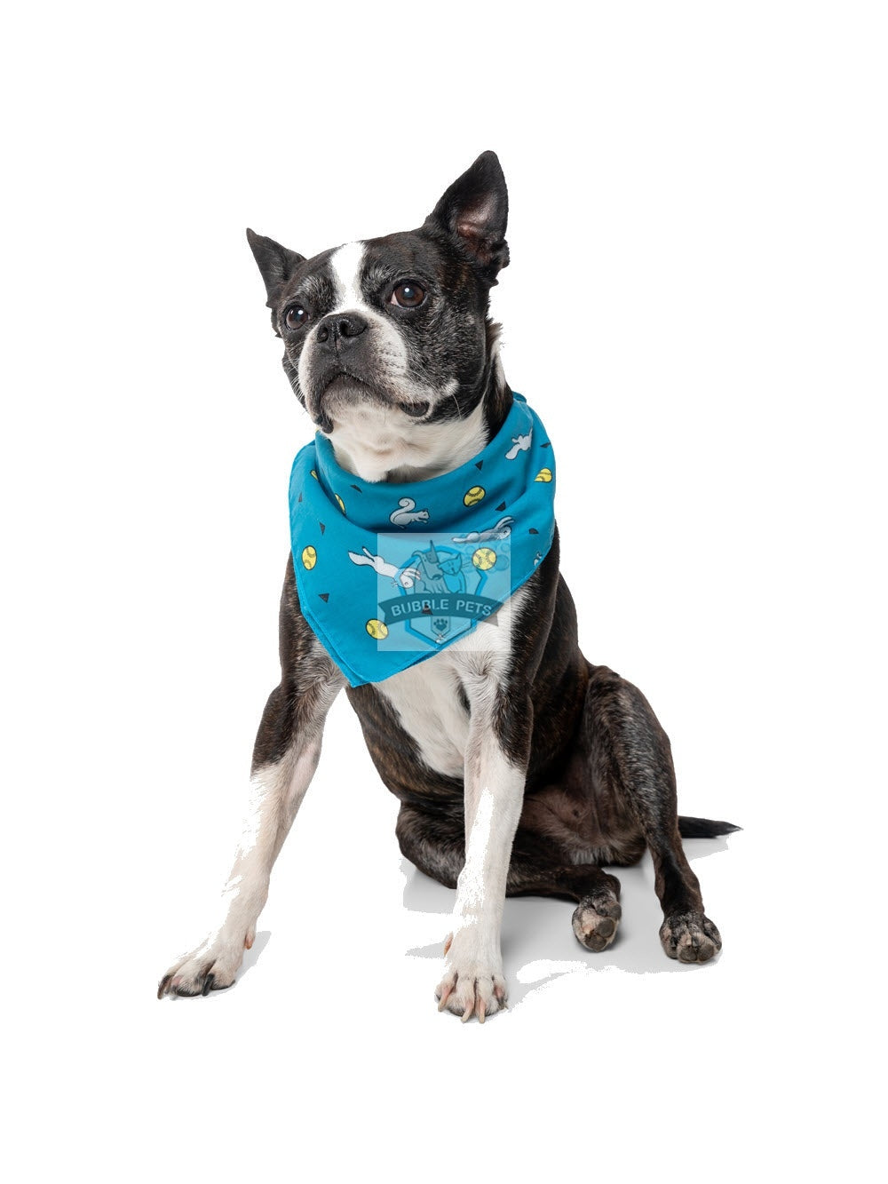 Insect Shield Ball & Squirrel Flea & Tick Repellent Bandana for Dogs (Teal)