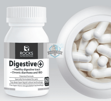 Rocks Nutraceuticals Digestive + Probiotic Supplement