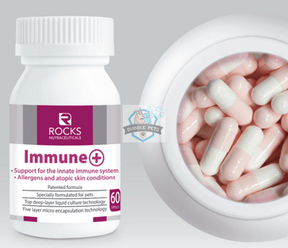 Rocks Nutraceuticals Immune + Probiotic Supplement