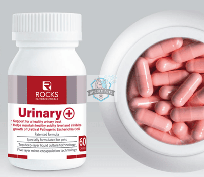 Rocks Nutraceuticals Urinary + Probiotic Supplement