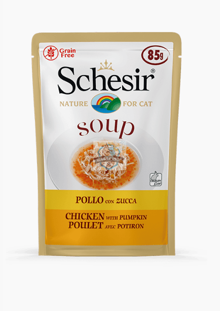 Schesir Cat Pouch In Soup Chicken with Pumpkin
