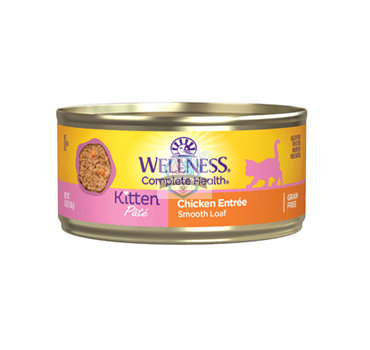 Wellness Complete Health Chicken Kitten Pate Canned Cat Food