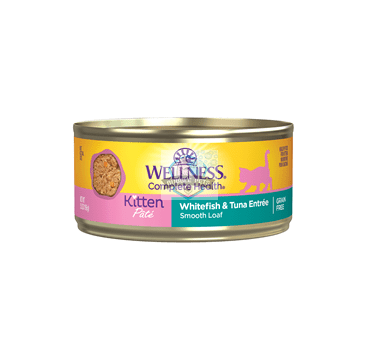 Wellness Complete Health Whitefish & Tuna Kitten Pate Canned Cat Food