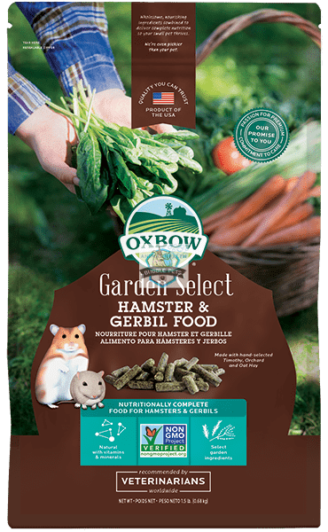 Hamster — Singapore's Pet Proficient Online Pet Store I Online Pet Shop ...