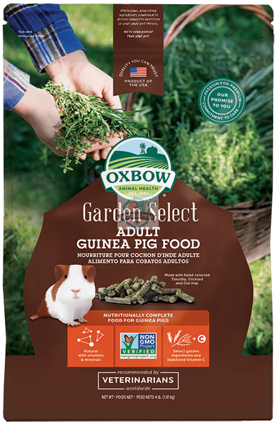 Oxbow Garden Select Adult Guinea Pig