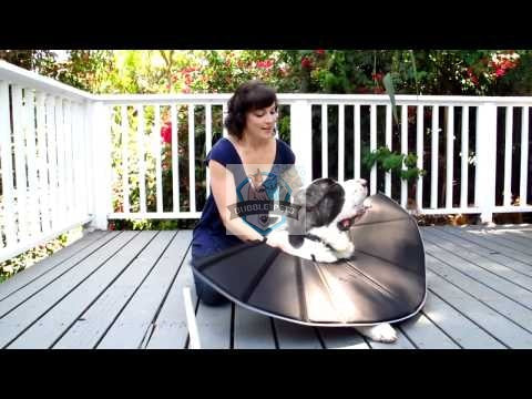 Comfy Cone Collars for Dogs Cats Pets